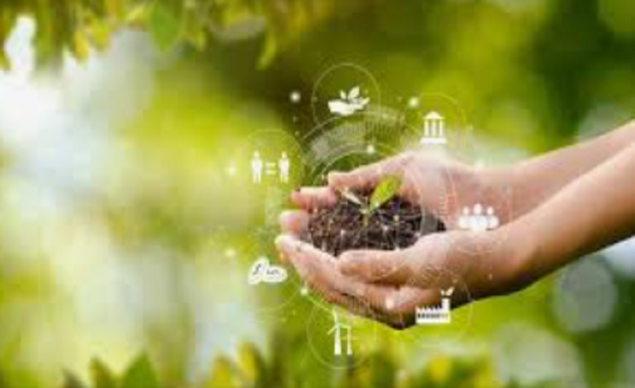 Bagaimana Perusahaan