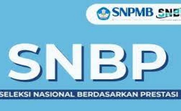 snpmb bppp kemdikbud go id