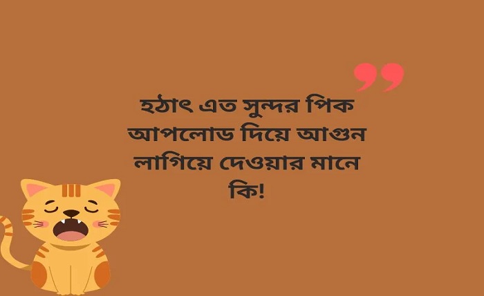 ফানি কমেন্ট